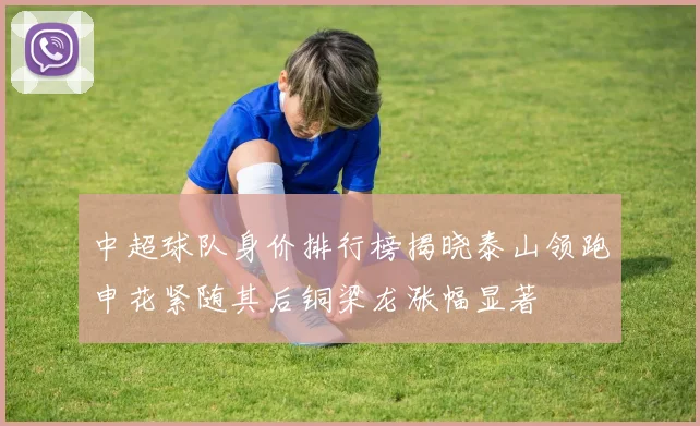 中超球队身价排行榜揭晓泰山领跑申花紧随其后铜梁龙涨幅显著